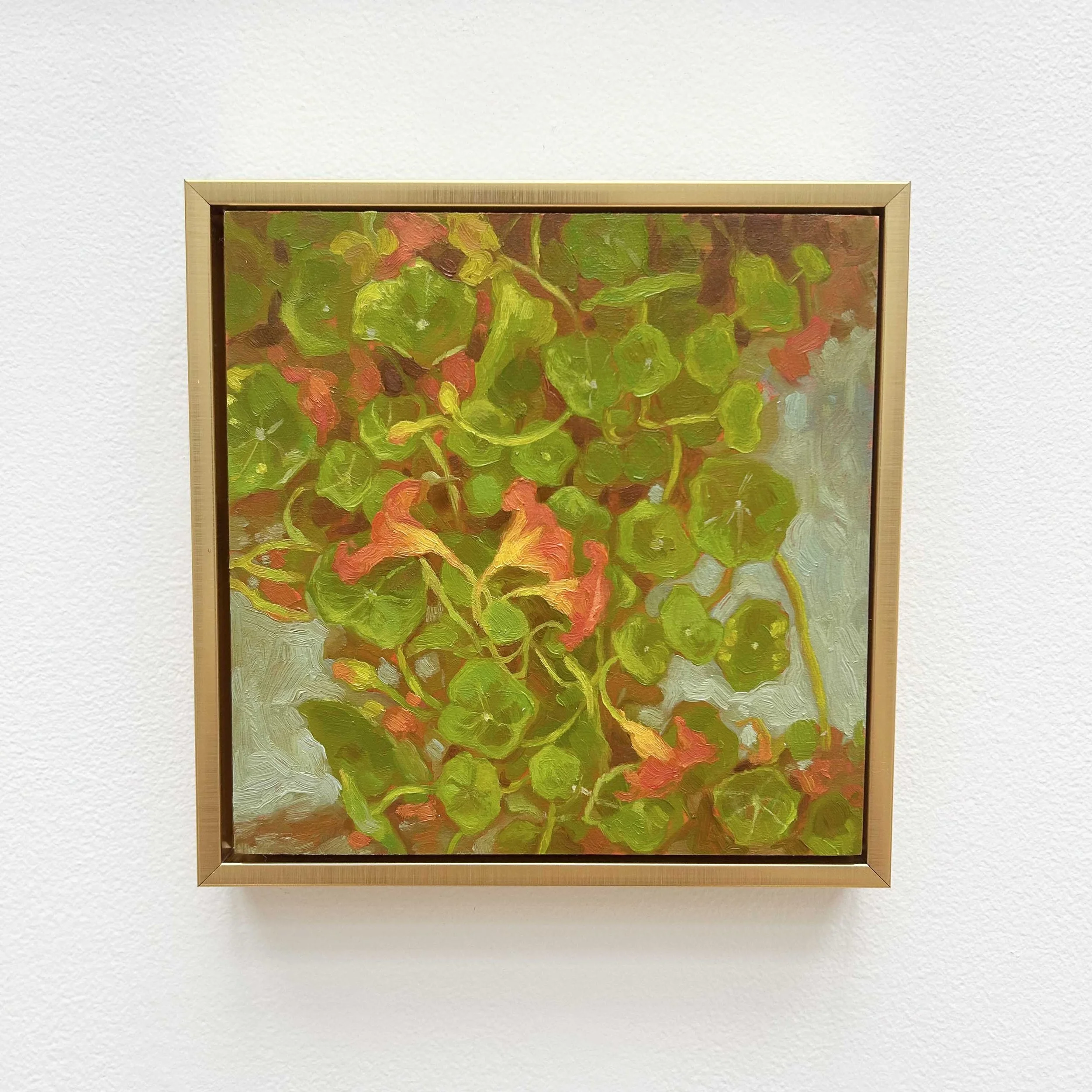 Nicole Ganelin: Nasturtiums, NLG2