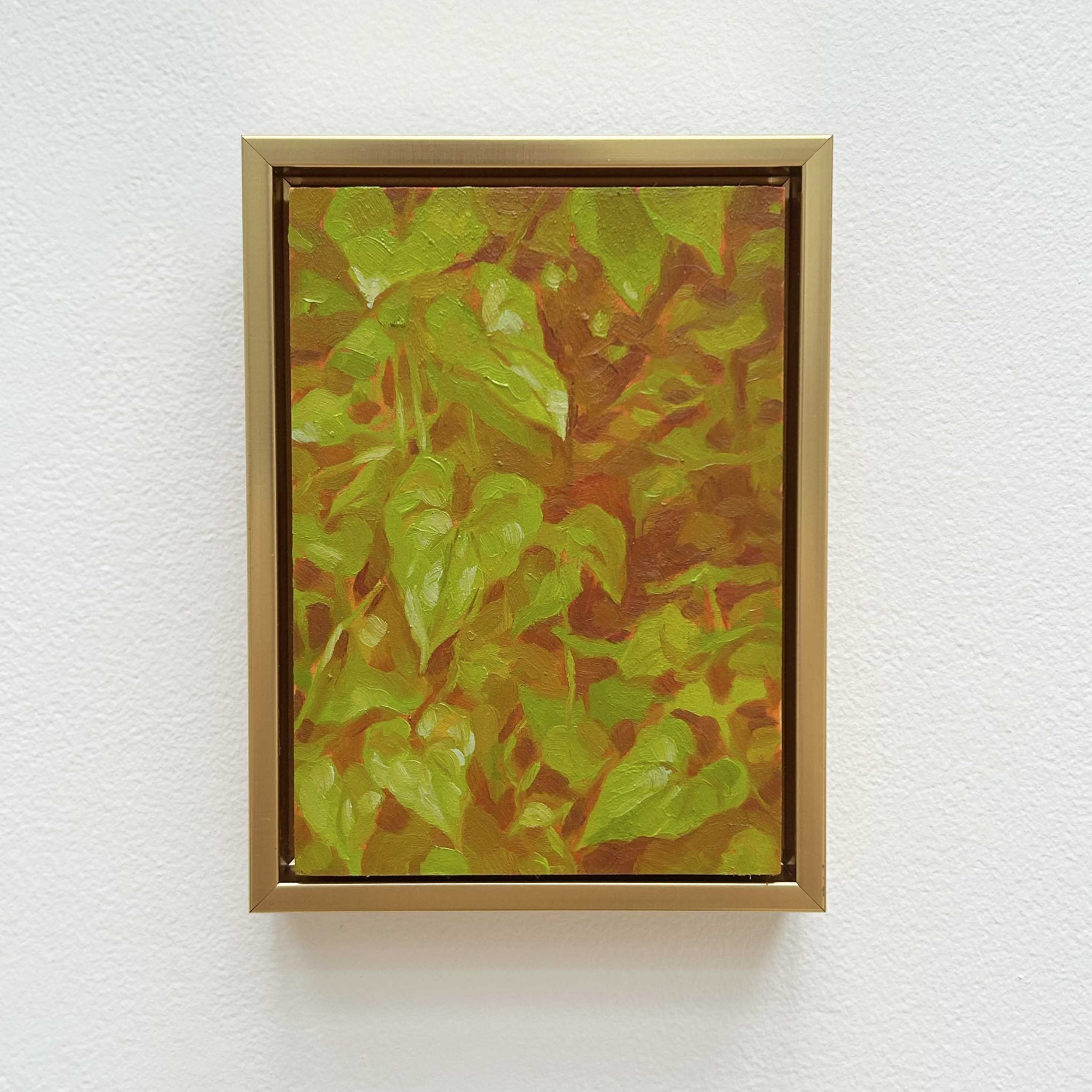 Nicole Ganelin: Undergrowth, NLG1