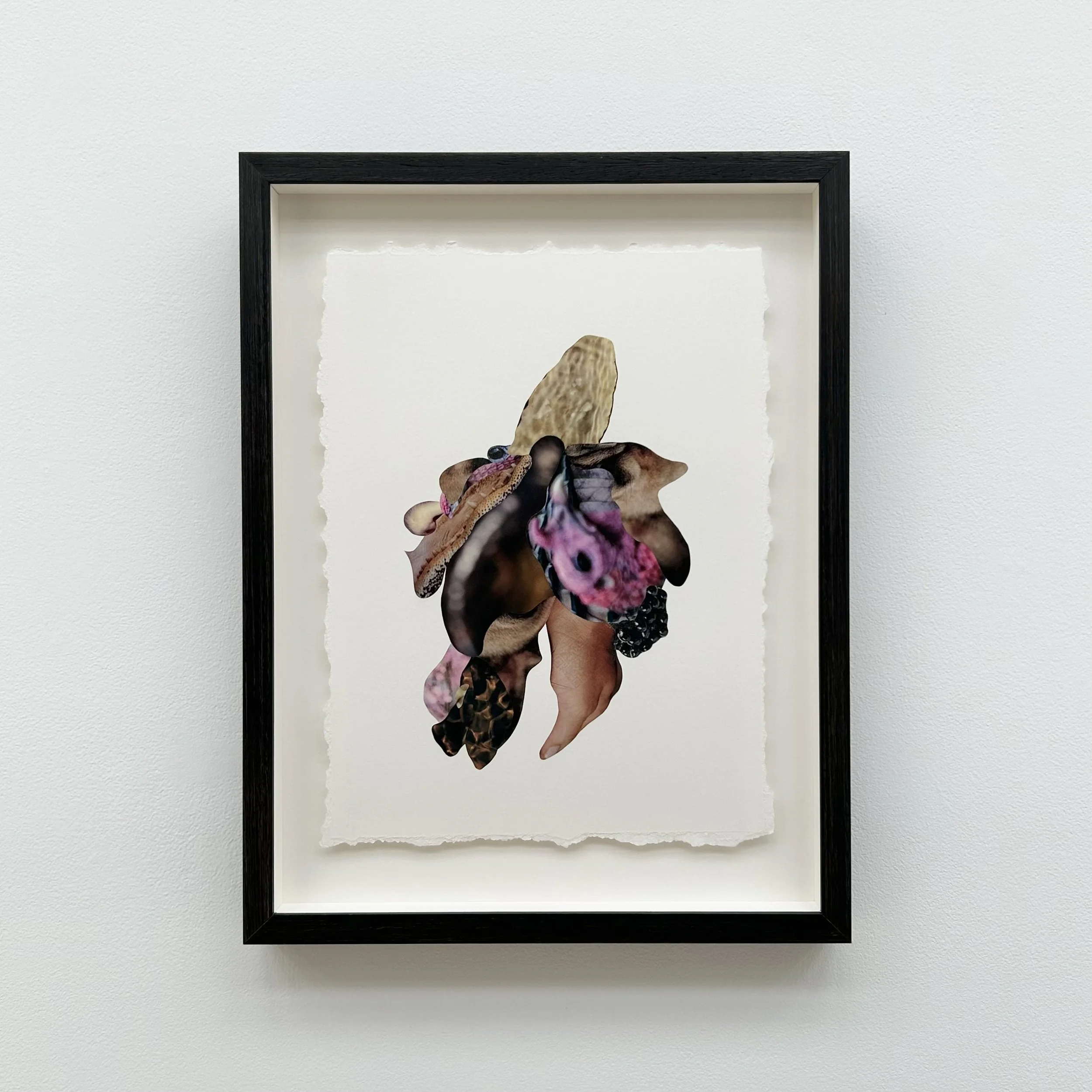 Michelle Laxalt: arum (corpse flower), MTL2