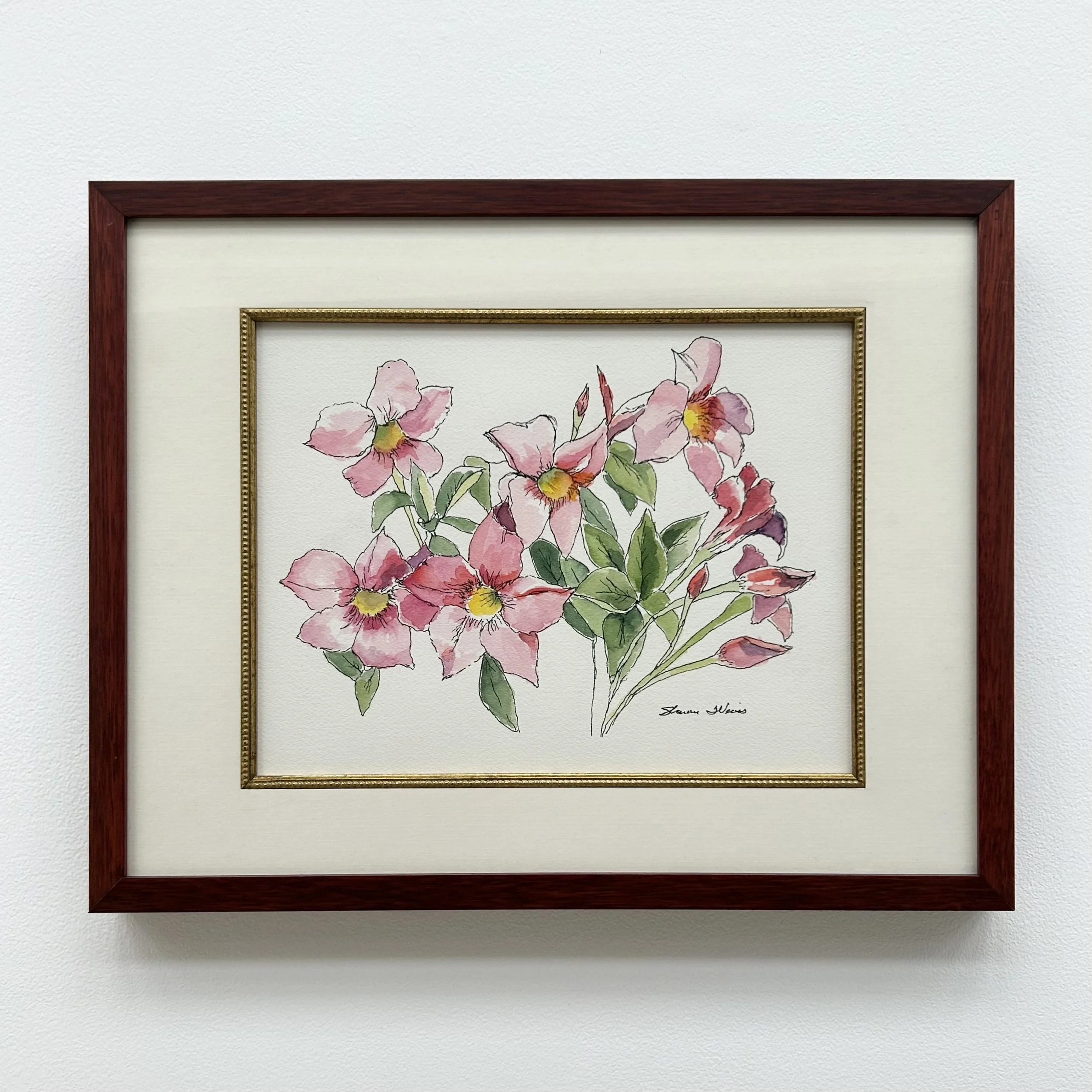 Sharon Weiss: Pink Mandevillas, SHW3