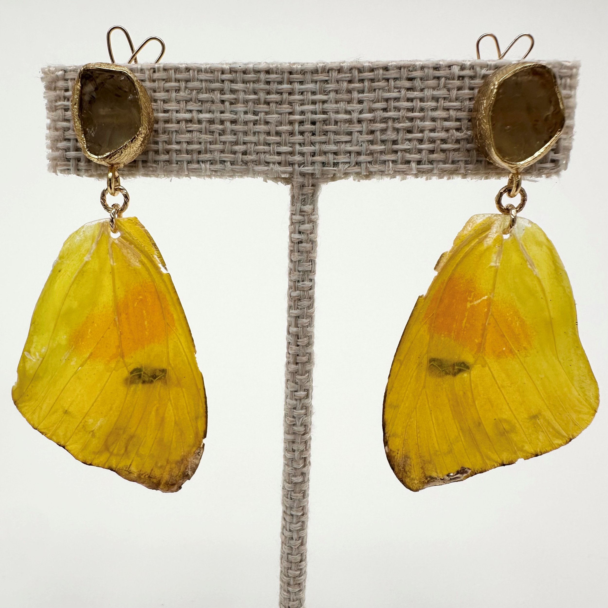 Hillary Jackson: Orange Barred Sulphur Yellow Butterfly, HJ265