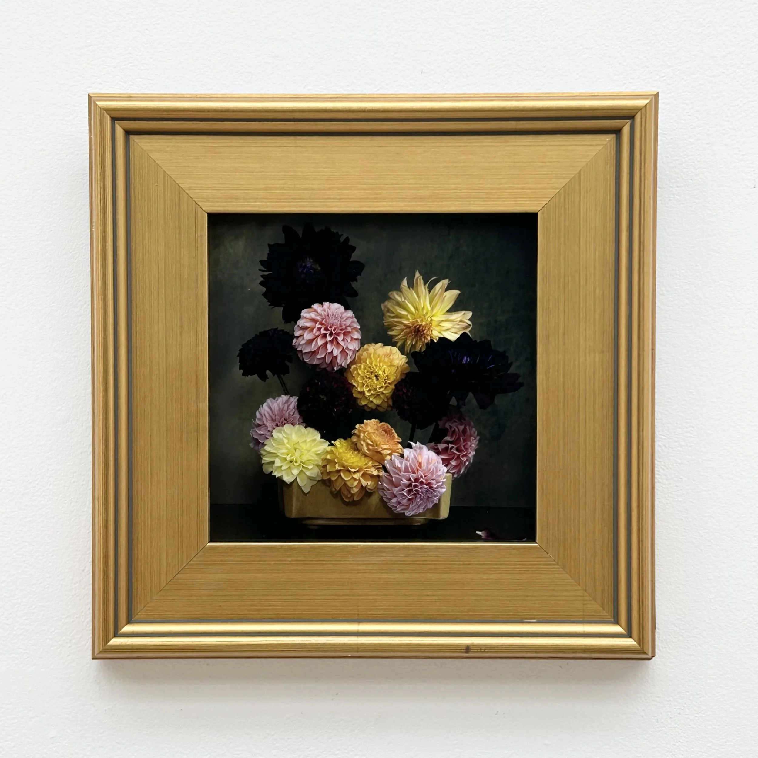 Karen Varsha: Yellow Dahlia, KV3