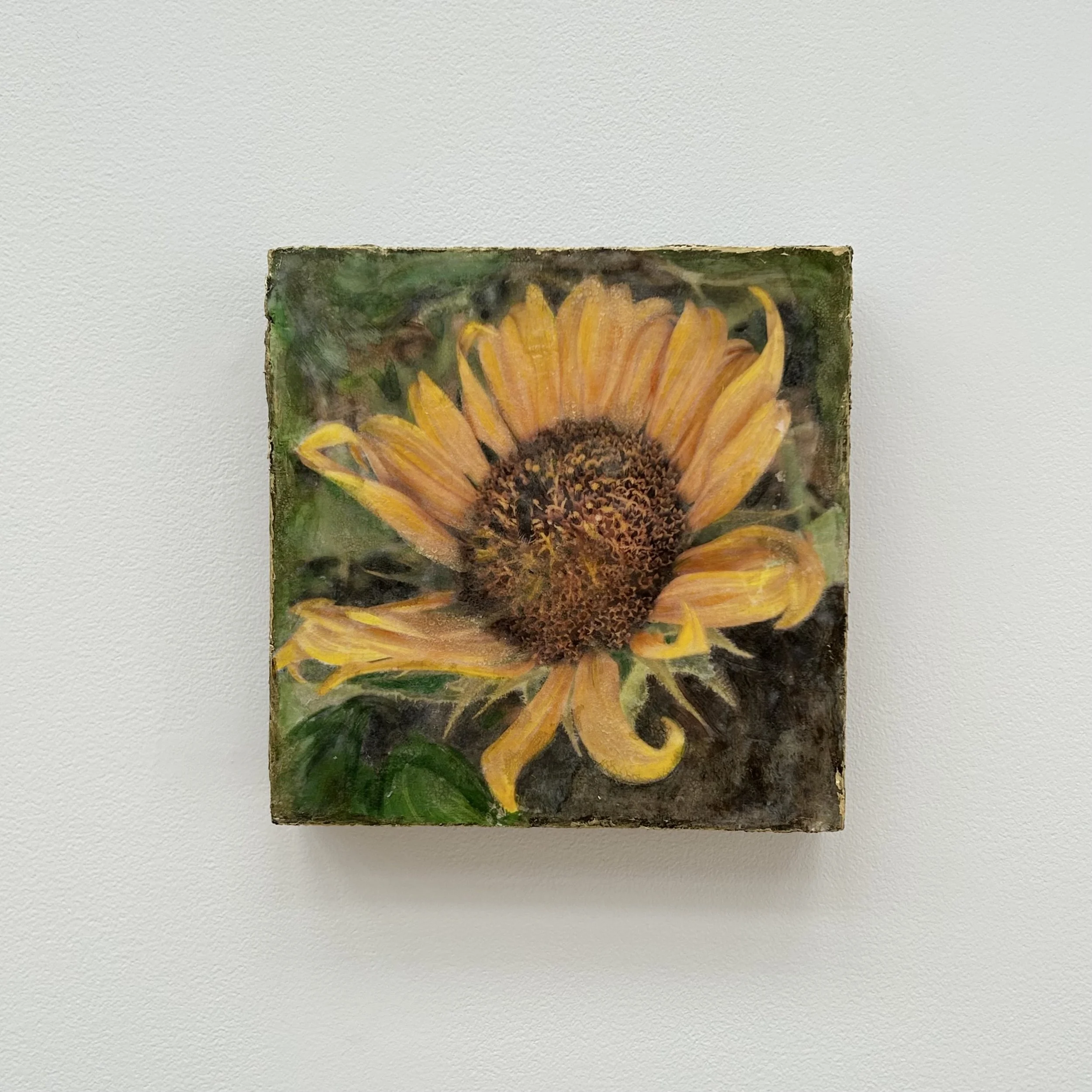 Lori Haas: Sunflower, LHH41