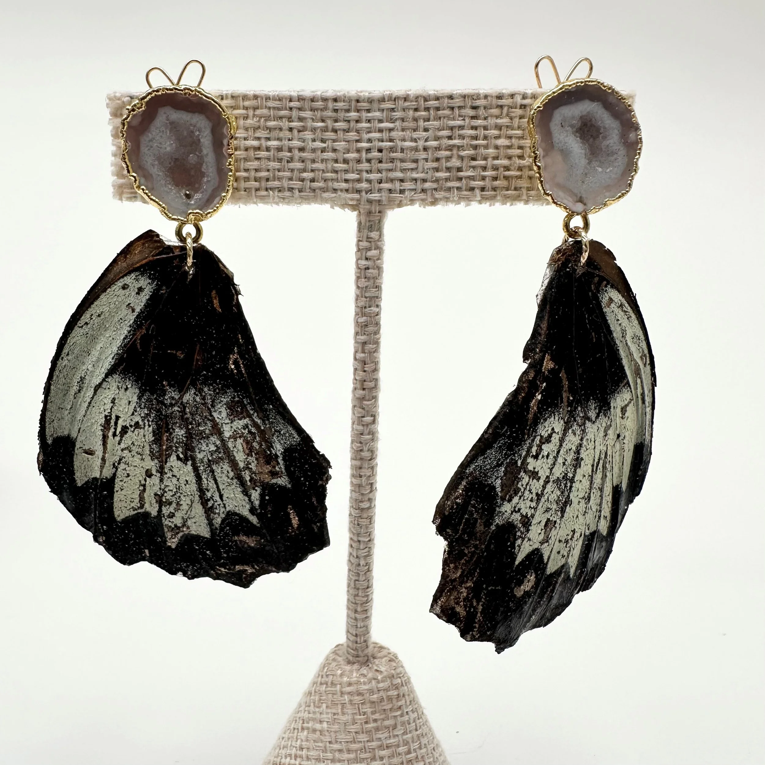 Hillary Jackson: Scarlet Mormon Butterfly Drops, HJ269
