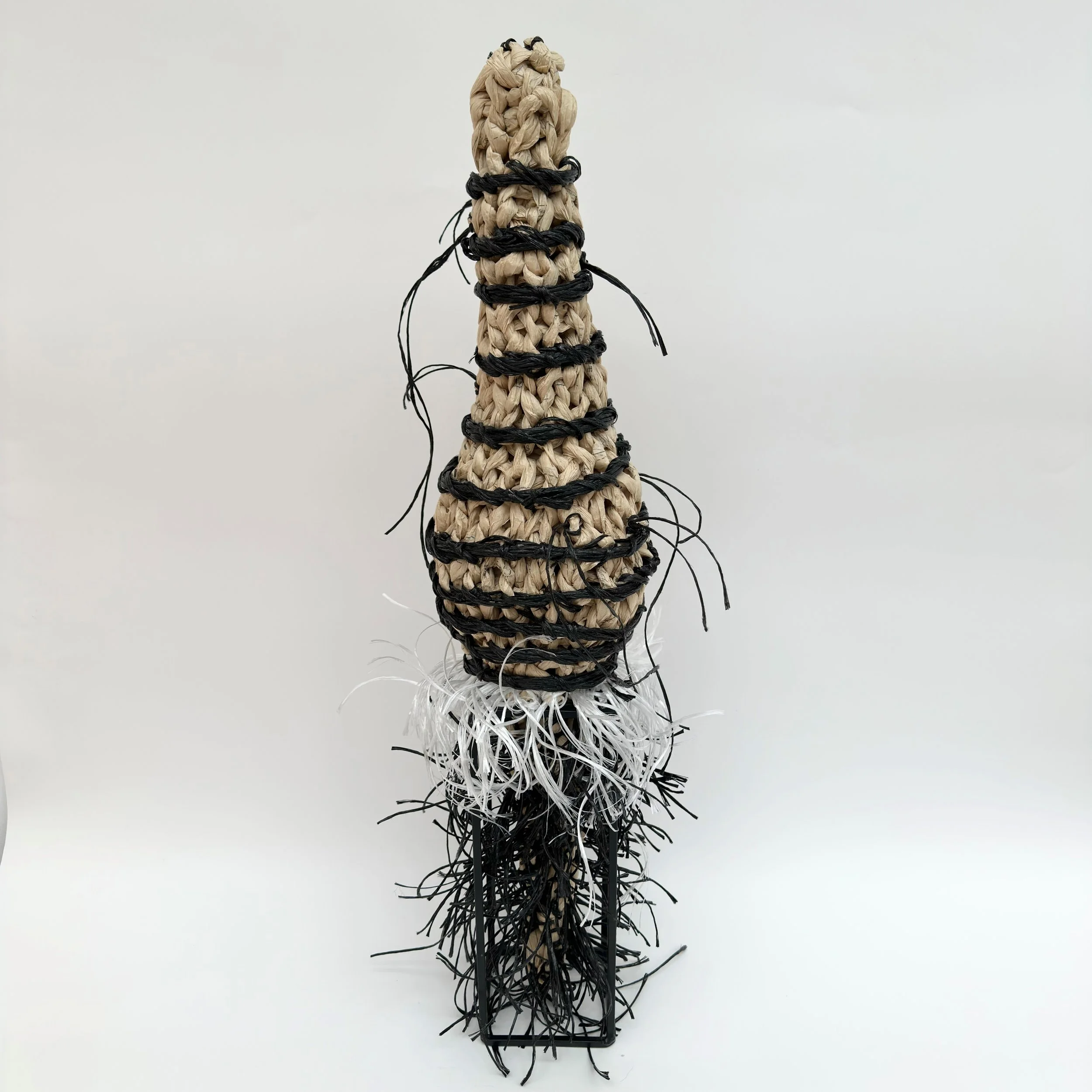 Eileen G. Braun: Not A Zebra, EGB3