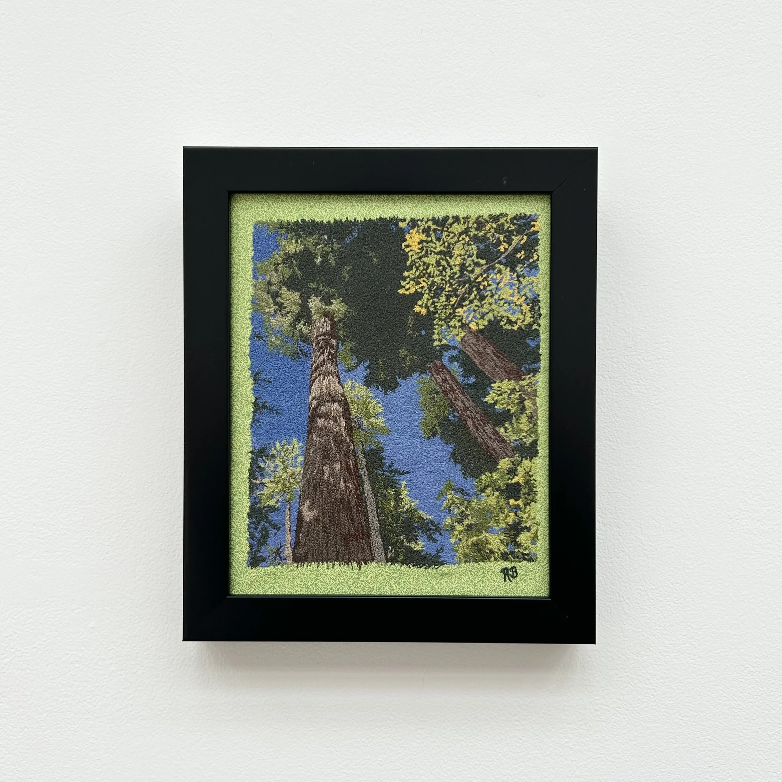 Roxanne Brown: Rainforest Grandeur, RCB2