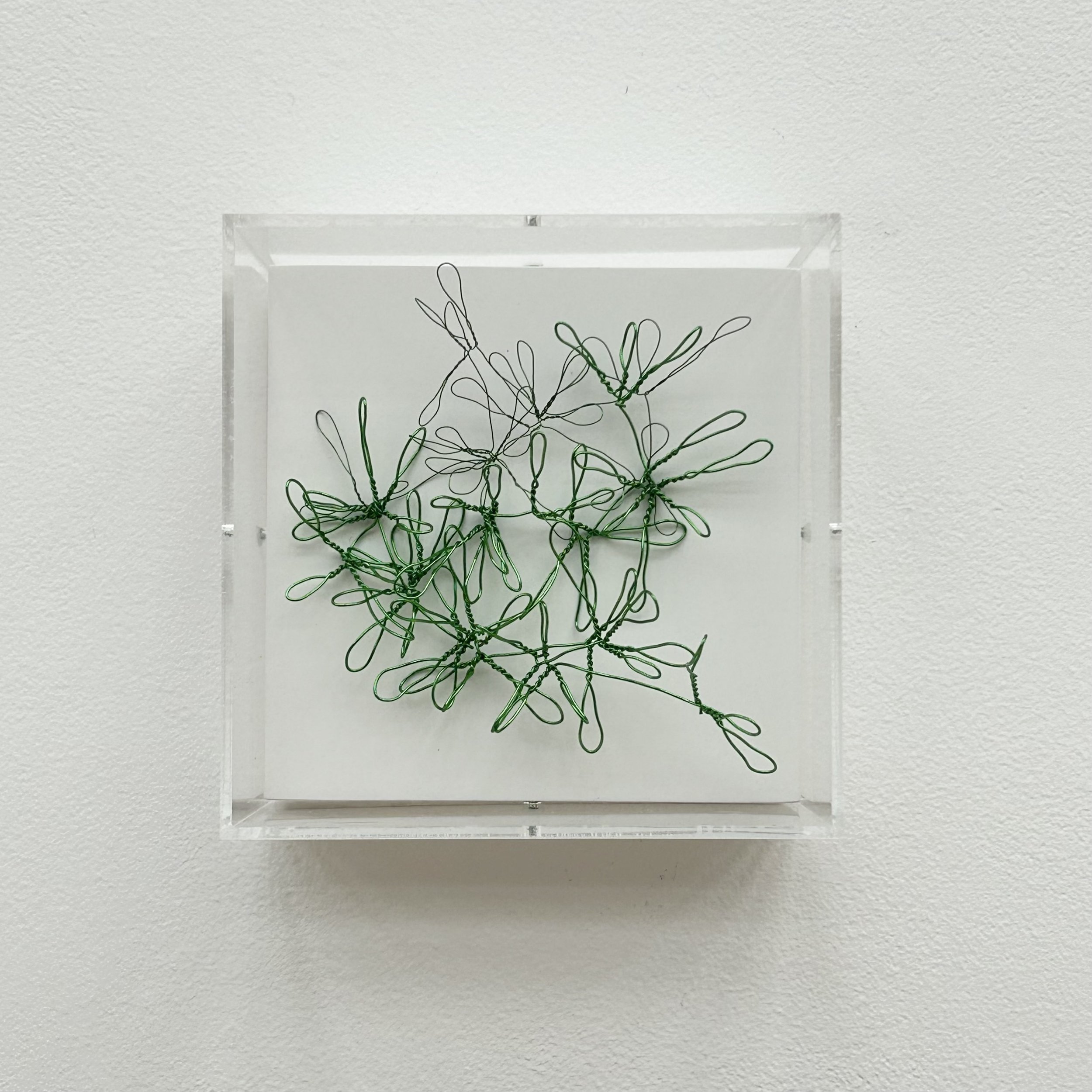 Sabre Esler: Green, Green Poof!, SJE4