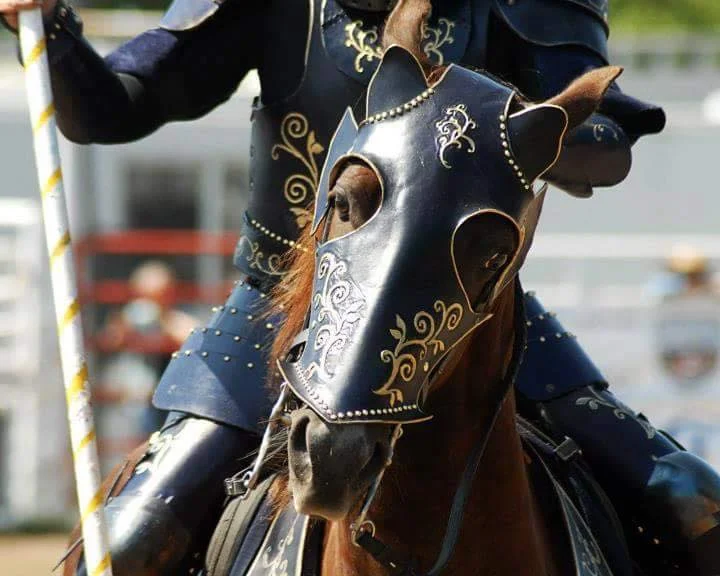 Avcal Equestrian.jpg