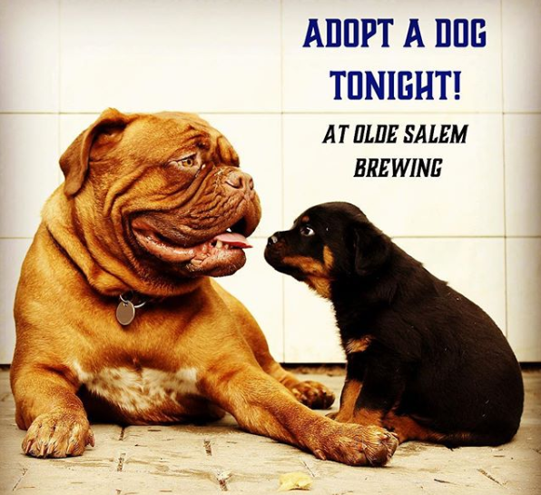 Adopt a Dog Event