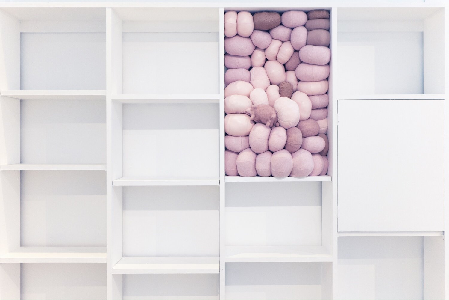  Pushback,  2019  Installation of 45 soft sculptures in fixed shelving unit 