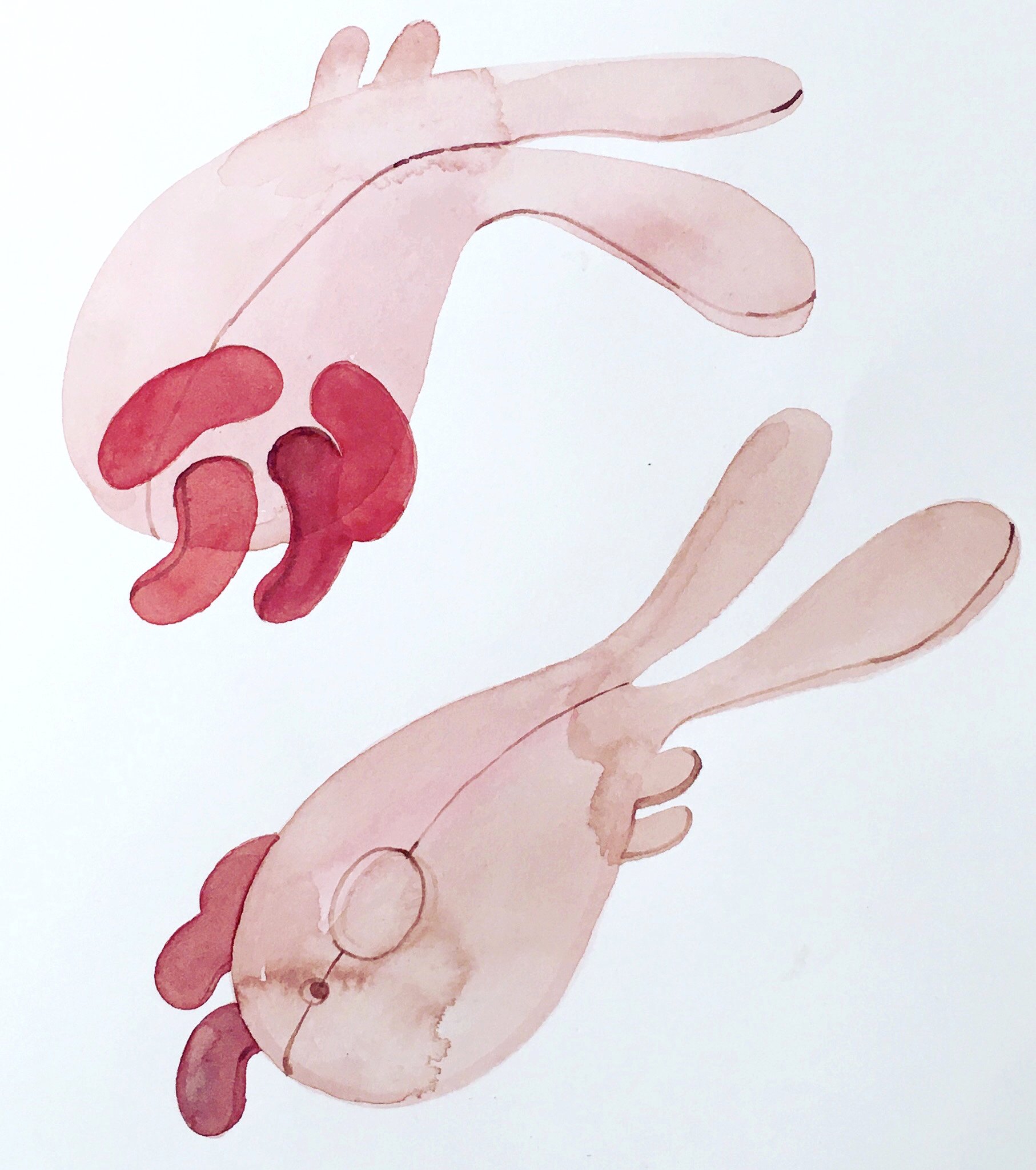   Sew your own Bunny : Kit number 1,  2020  Watercolour on paper, 21 x 29 cm 