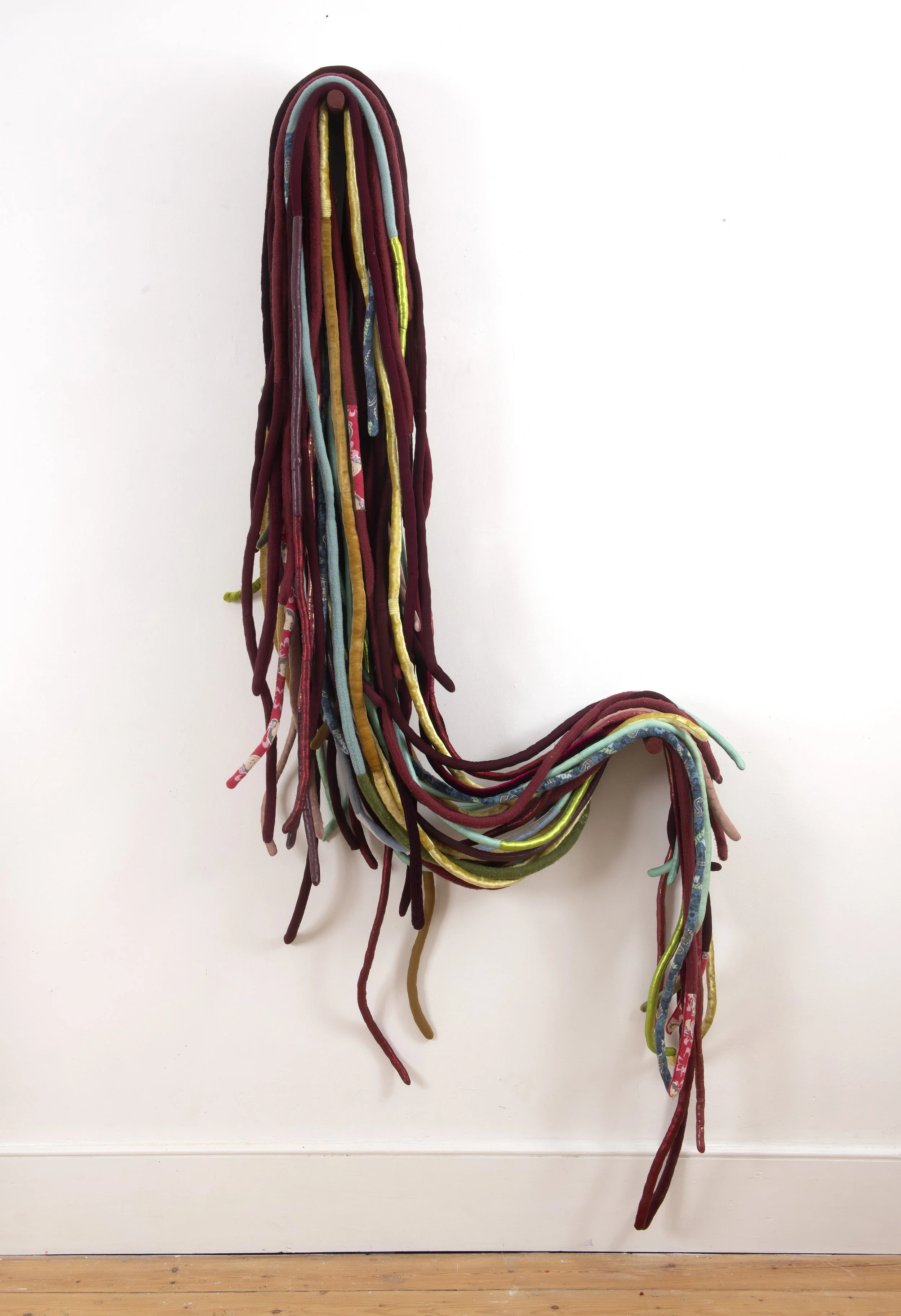  Venous (2), 2024-26   mixed media installation of 41 soft sculptures, wooden wall pegs, approx. 205 x75 x 22 cm, wall mounted. Image credit: Justin Piperger 