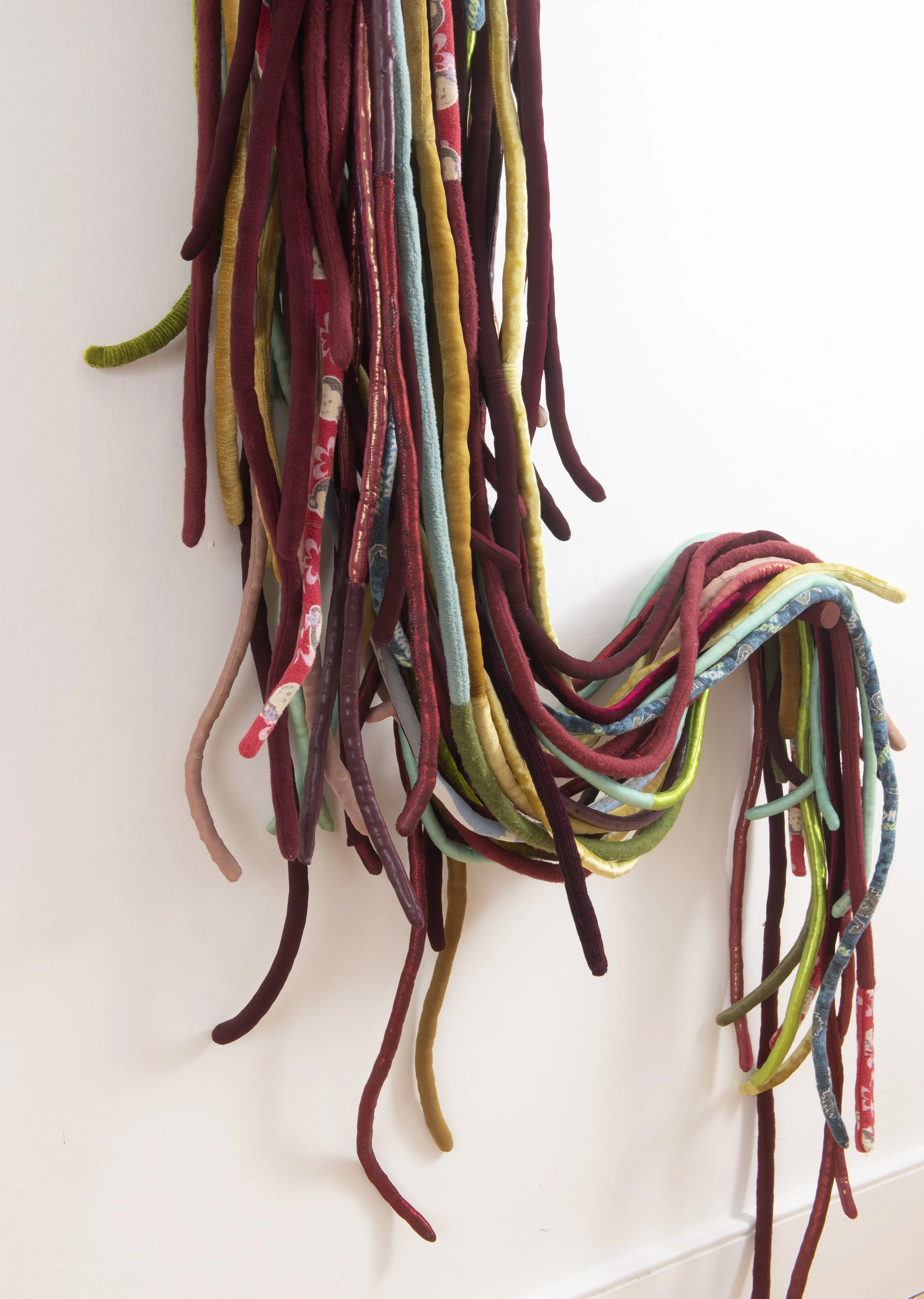  Venous (2), 2024-26 detail shot  mixed media installation of 41 soft sculptures, wooden wall pegs, approx. 205 x75 x 22 cm, wall mounted. Image credit: Justin Piperger 