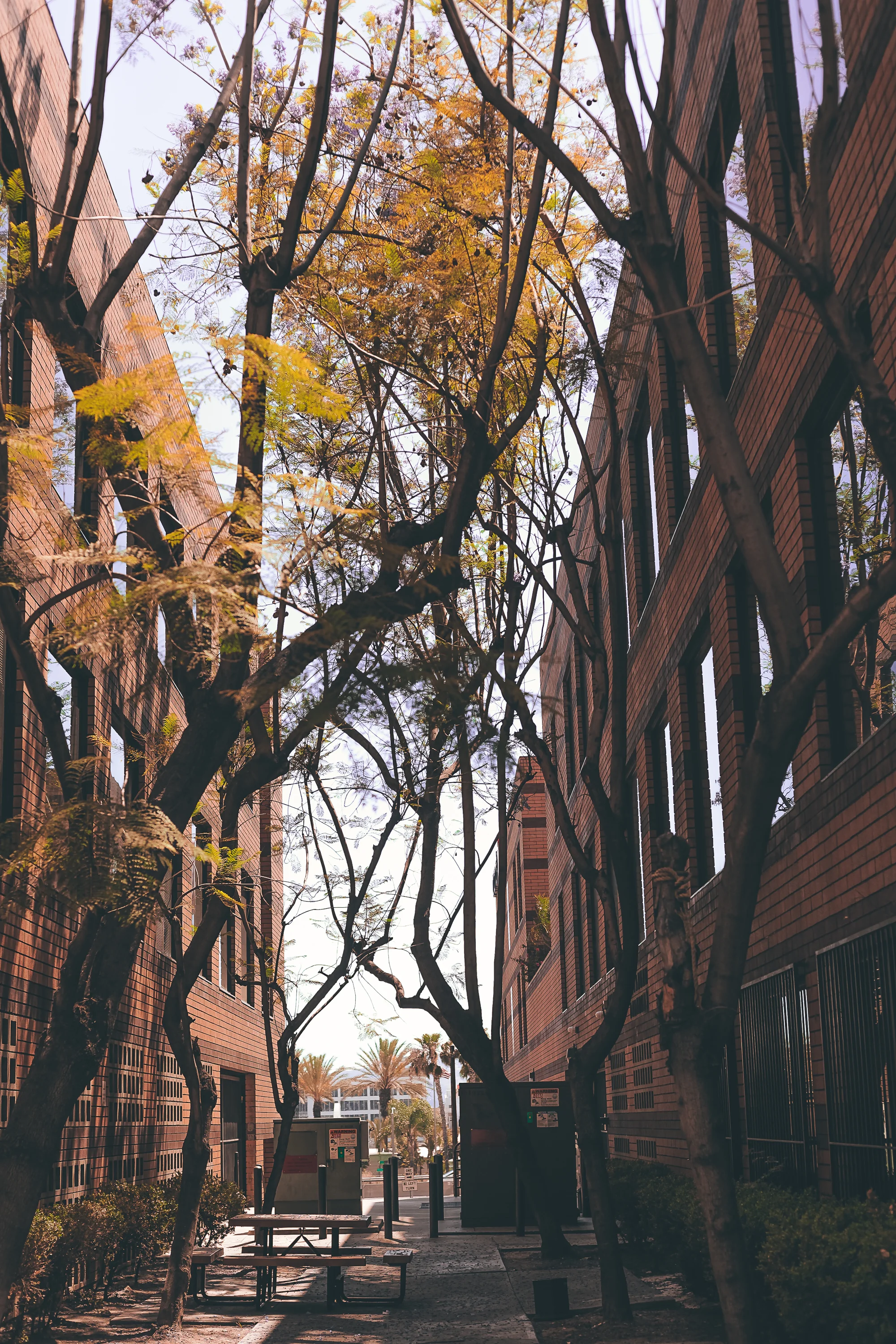 That Walk in Dayligh-3.jpg