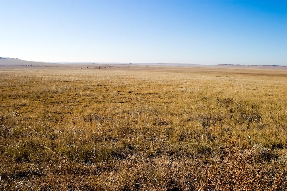 Plains of Nebraska.jpg
