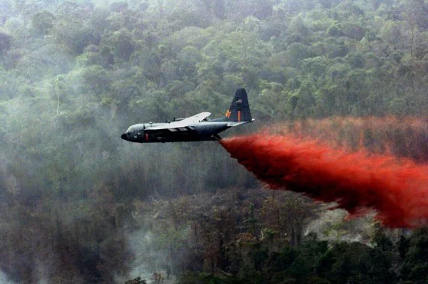 Agent Orange1.jpg