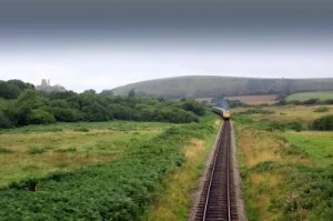 tracks-300x199.jpg