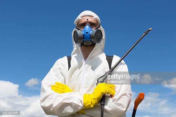Photo by hedgehog94/iStock / Getty Images
