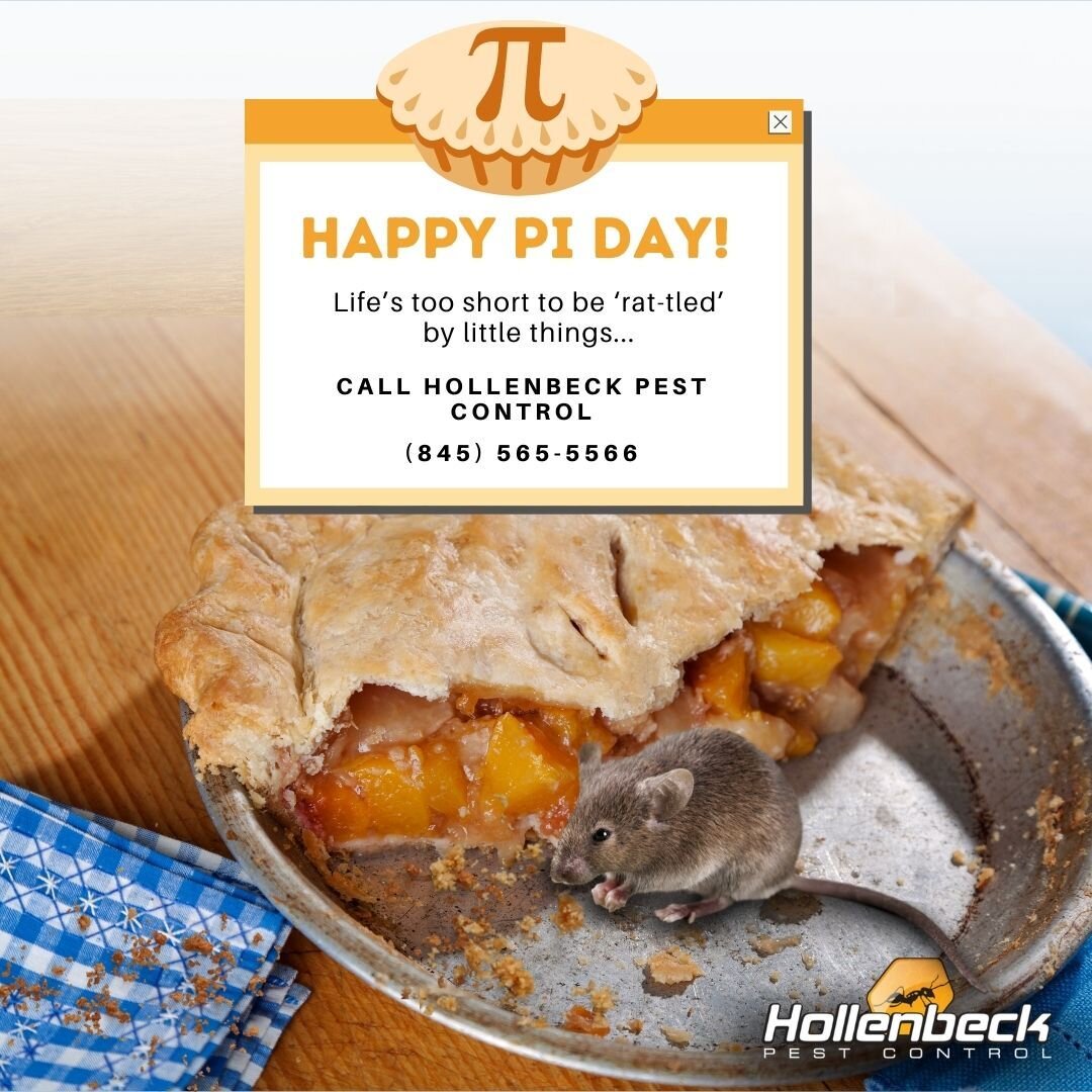 Happy Pi Day! Don't let pests share a piece of the pie, call Hollenbeck Pest Control today!

(845) 565-5566 🐭

#piday #pests #bugs #pestcontrol #shoplocal #smallbusiness #hudsonvalley #hollenbeck
