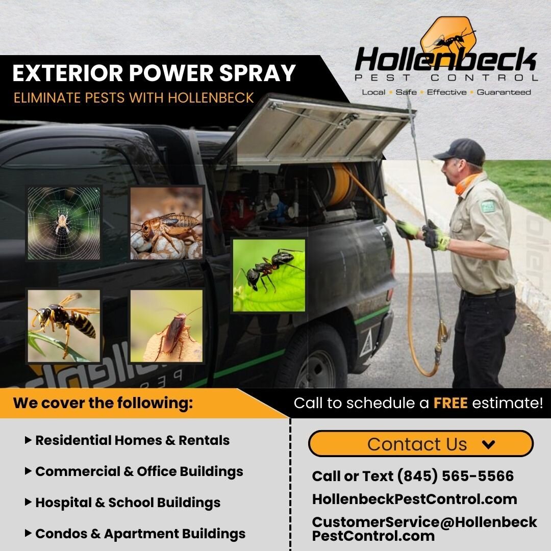 With the warm weather slowly approaching, so are the pests! Call today to get an exterior power spray to your home. 🌡☁

(845) 565-5566

#pestcontrol#exterminator#shoplocal#smallbusiness#hudsonvalley#hollenbeck #commercialpestcontrol #residentialpest