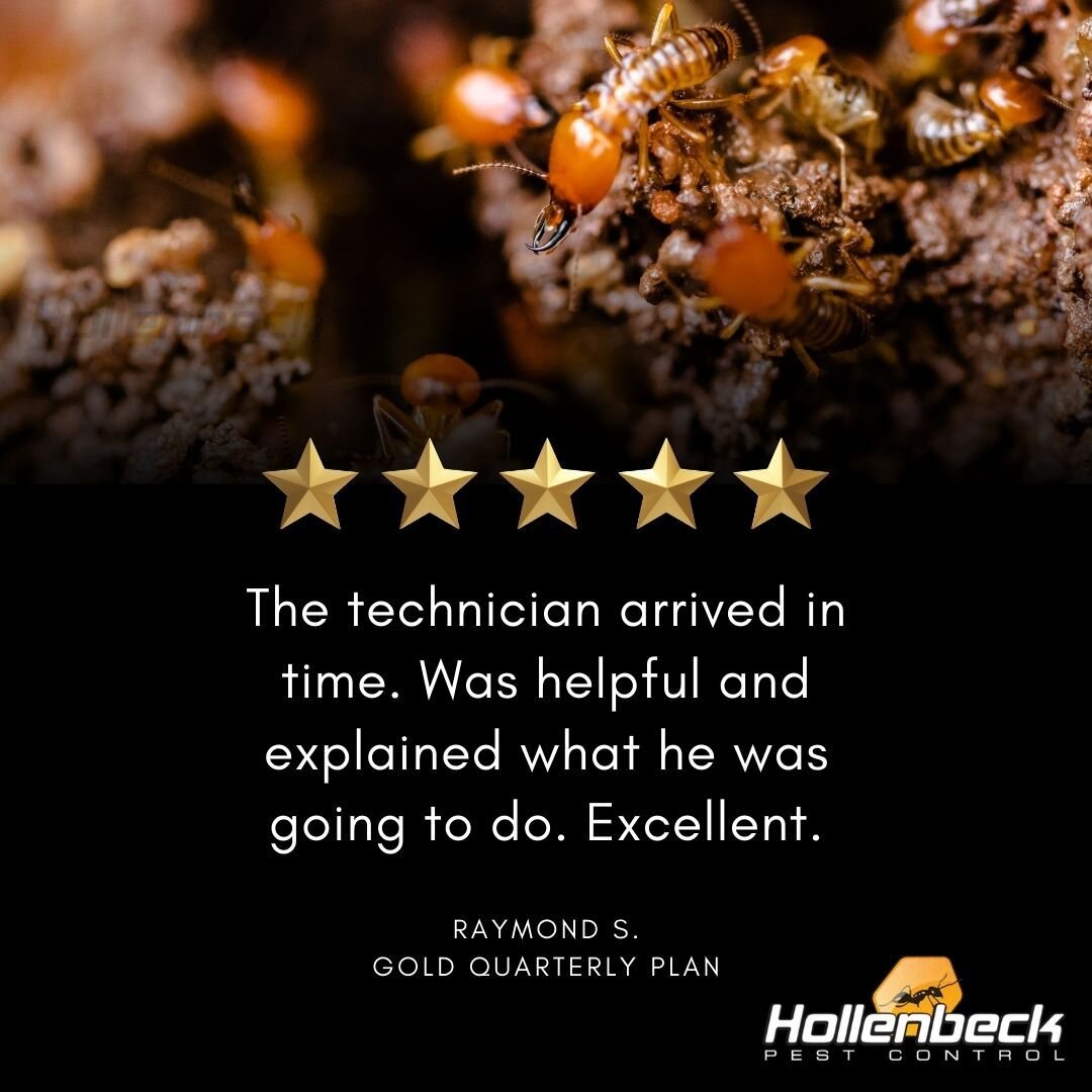 With our Gold Plan we offer annual termite inspections to your home. Interested in this plan? Call in today to schedule a free estimate! 

(845) 565-5566
#pestcontrol#exterminator#shoplocal#smallbusiness#hudsonvalley#hollenbeck #commercialpestcontrol