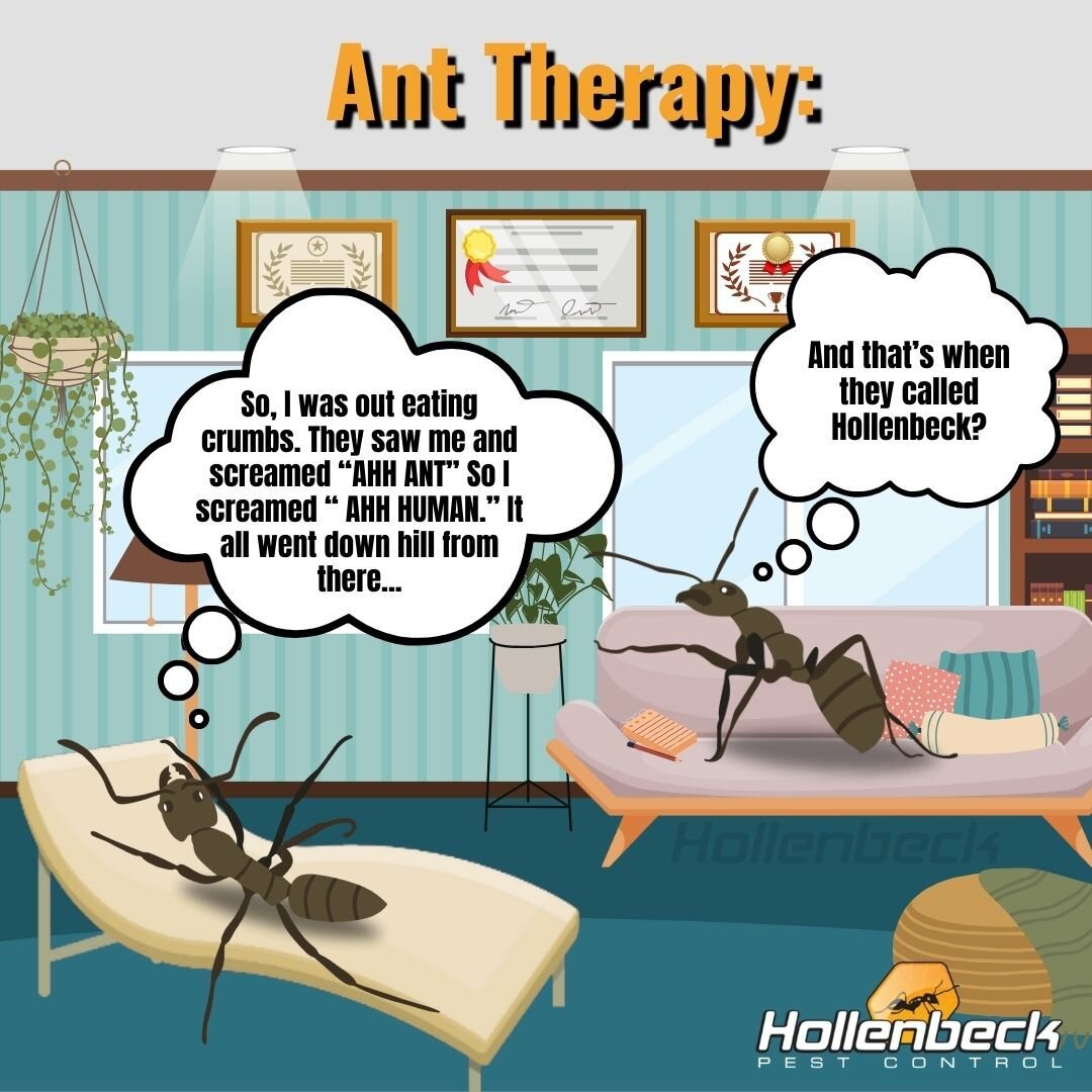 We humans talk about our problems...well so do pests! Happy April Fools Day! 🐜📝

(845) 565-5566

#pestcontrol#exterminator#shoplocal#smallbusiness#hudsonvalley#hollenbeck #commercialpestcontrol #residentialpestcontrol 
#bees #spiders #ants #roaches