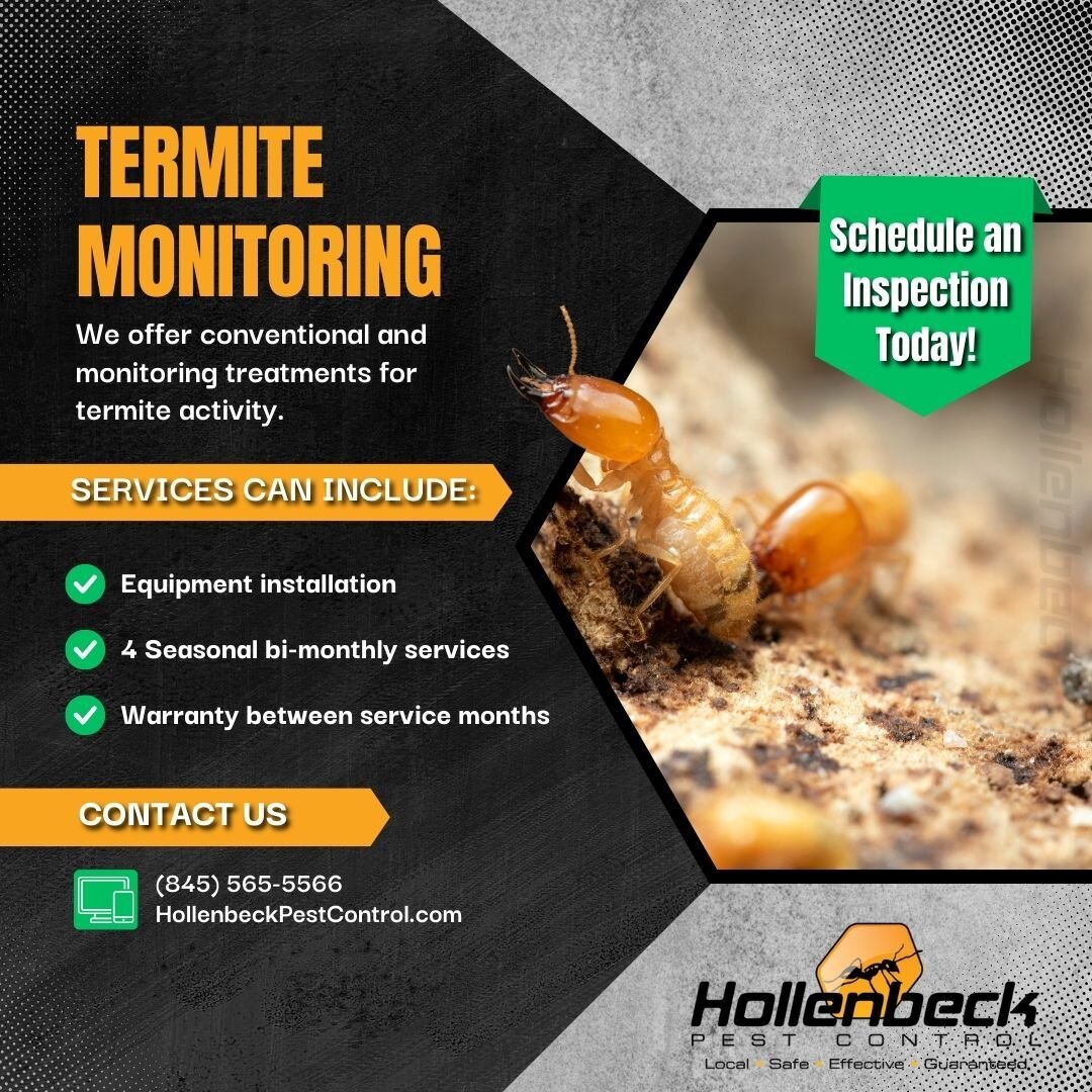 If you think you have termites. We got you covered! Give us a call at Hollenbeck Pest Control.

(845) 565-5566

#pestcontrol#exterminator#shoplocal#smallbusiness#hudsonvalley#hollenbeck #commercialpestcontrol #residentialpestcontrol 
#termites #termi