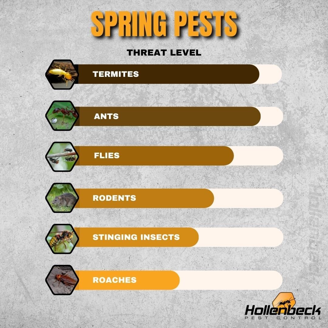 Each season has their own pest. Take a look at this chart for the most common spring time pests. 📊

(845) 565-5566

#pestcontrol#exterminator#shoplocal#smallbusiness#hudsonvalley#hollenbeck #commercialpestcontrol #residentialpestcontrol 
#termites #