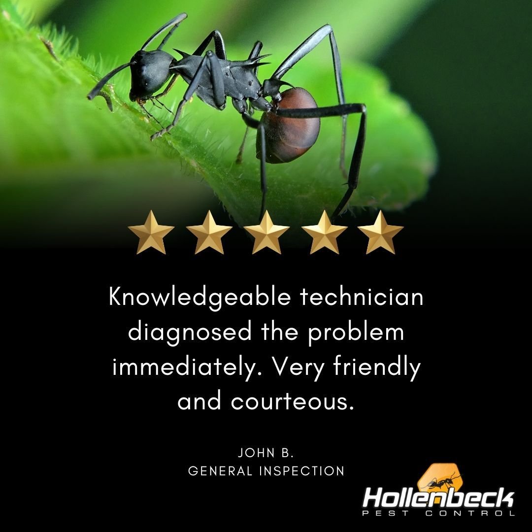 Get a general inspection for your home. You never know what could be lurking. 👀

Call today (845) 565-5566

#pestcontrol#exterminator#shoplocal#smallbusiness#hudsonvalley#hollenbeck #commercialpestcontrol #residentialpestcontrol 
#springcleaning #sp