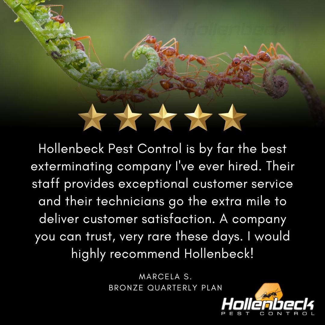 We keep our loyal customers happy. Join one of our plans today and get guaranteed customer satisfaction! 🐜 

(845) 565-5566

#pestcontrol#exterminator#shoplocal#smallbusiness#hudsonvalley#hollenbeck #commercialpestcontrol #residentialpestcontrol 
#s