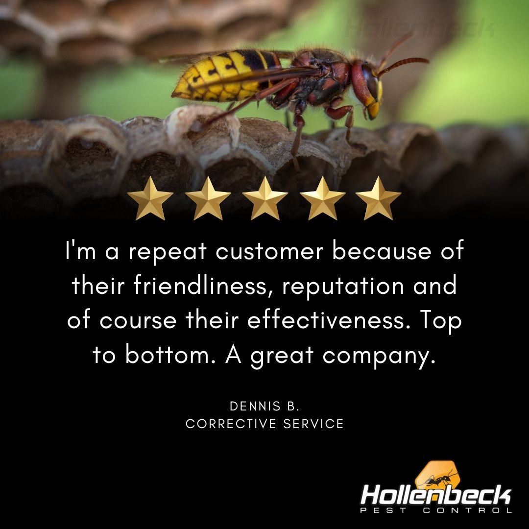 We guarantee great service and most importantly great customer care. 

Give us a call. We are always happy to help! (845) 565-5566

#pestcontrol#exterminator#shoplocal#smallbusiness#hudsonvalley#hollenbeck #commercialpestcontrol #residentialpestcontr