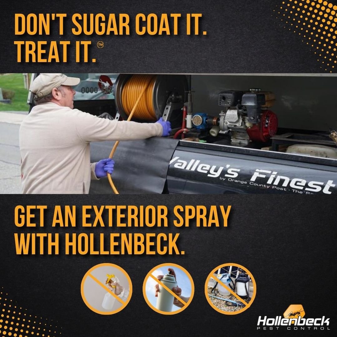 It's that season! The bugs are out and so are we. Call us today for a free quote for an exterior  power spray to your home. 🌞

(845) 565-5566

#pestcontrol#exterminator#shoplocal#smallbusiness#hudsonvalley#hollenbeck #commercialpestcontrol #resident