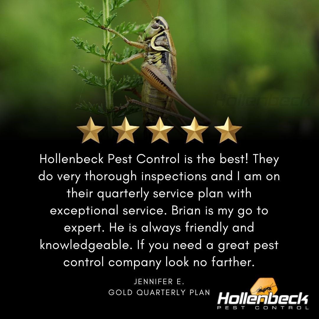 Interested in pest control services? Look no further! Hollenbeck Pest Control is here to help. 

Call our office to schedule (845) 565-5566
#pestcontrol#exterminator#shoplocal#smallbusiness#hudsonvalley#hollenbeck #commercialpestcontrol #residentialp