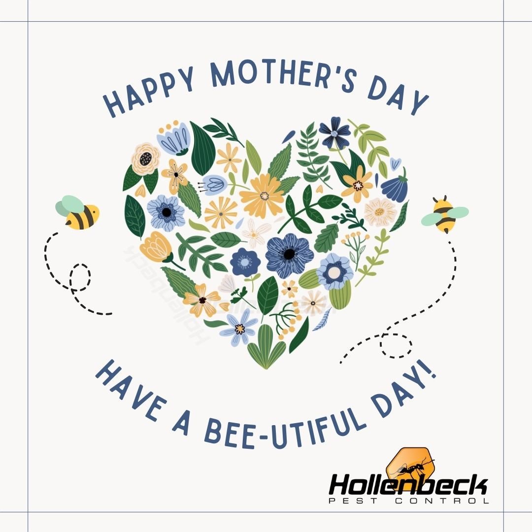 Happy Mother's Day from Hollenbeck Pest Control! 
🧡

#happymothersday#shoplocal#hollenbeckpestcontrol