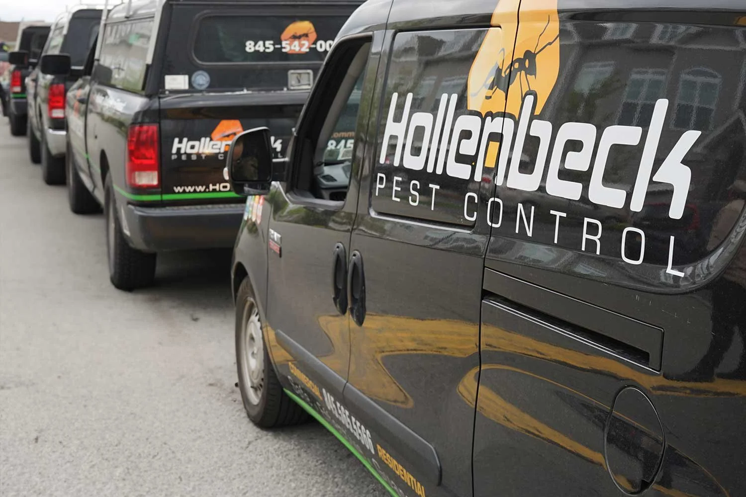 Hollenbeck Pest Control | Best Exterminator Service — Hudson Valley, NY