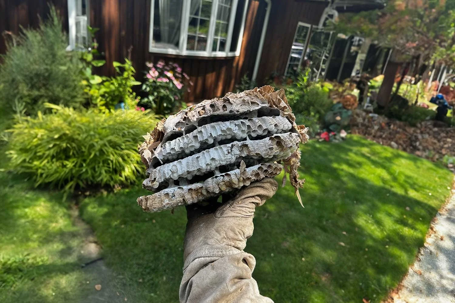 Hollenbeck Pest Control | Best Exterminator Service — Hudson Valley, NY