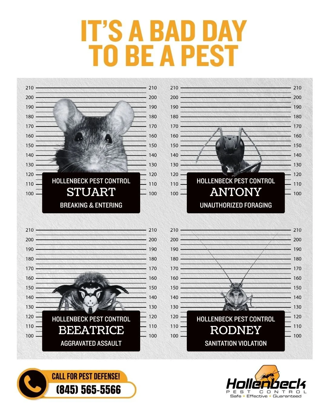 No matter the season, our team is ready to bring justice to the pests invading your space. 👮&zwj;♂️⛓🐜

Call to schedule your pest defense!
(845) 565-5566

#pestcontrol#exterminator#shoplocal#smallbusiness#hudsonvalley#hollenbeck#residentialpestcont