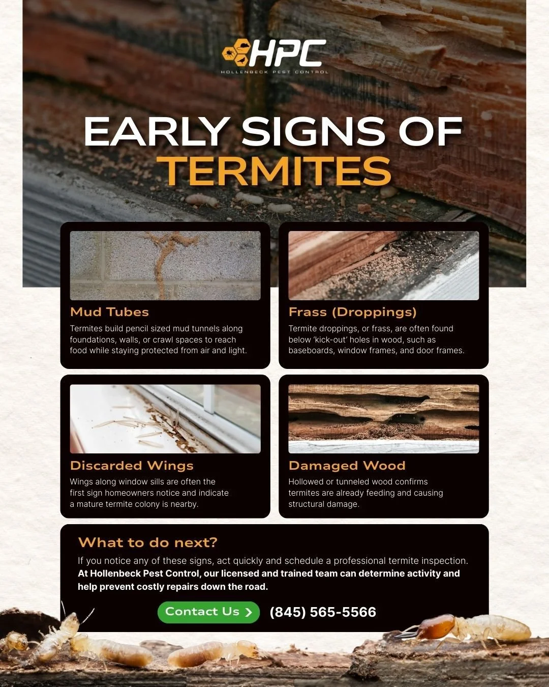 Early termite detection can save you money and stress. Let Hollenbeck Pest Control provide an inspection to ensure your home is safe. 🏠💲🔍

Call today to schedule! 📞
(845) 565-5566

#pestcontrol #exterminator #shoplocal #smallbusiness #hudsonvalle