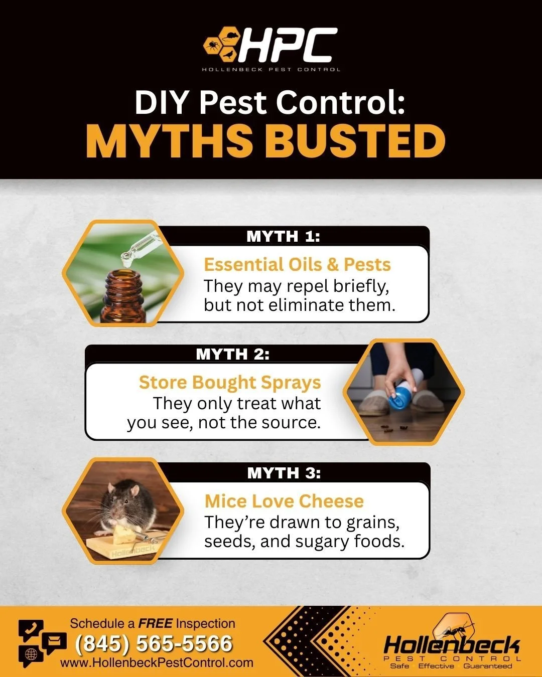 DIY pest control sounds simple but common myths can cost you more time, money, and frustration than you expect.

#pestcontrol #exterminator #shoplocal #smallbusiness #hudsonvalley #hollenbeck #residentialpestcontrol #interiorservice #exteriorservice 