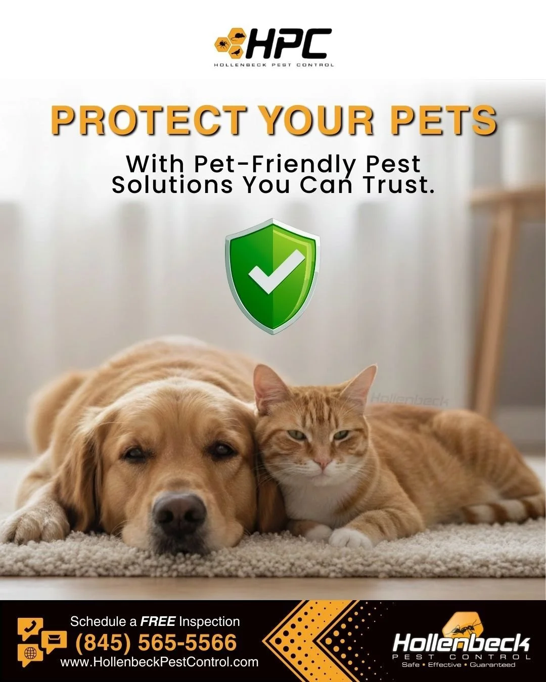 Keeping your home pest free should never put your pets at risk and our treatments are designed with their safety in mind. 🐶🐱🛡

Call for a free inspection:
(845) 565-5566

#pestcontrol #exterminator #shoplocal #smallbusiness #hudsonvalley #hollenbe