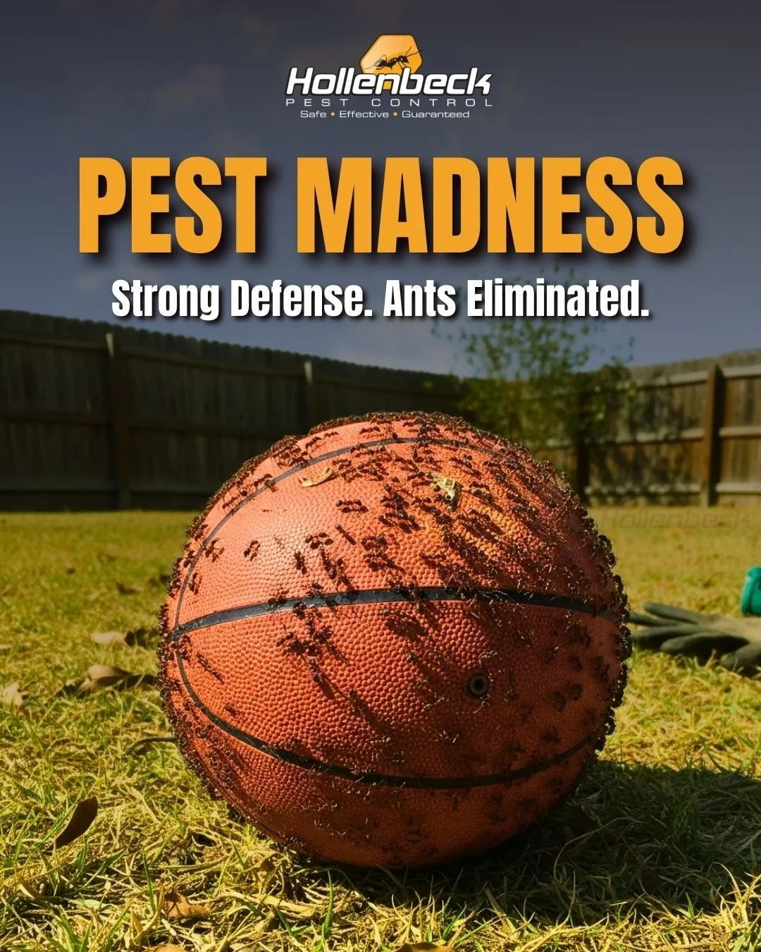 Don&rsquo;t let pests take the championship this March. 🏀🐜

Give us a call:
📞 (845) 565-5566

#pestcontrol #exterminator #shoplocal #smallbusiness #hudsonvalley #hollenbeck #residentialpestcontrol #interiorservice #exteriorservice #commericalpestc
