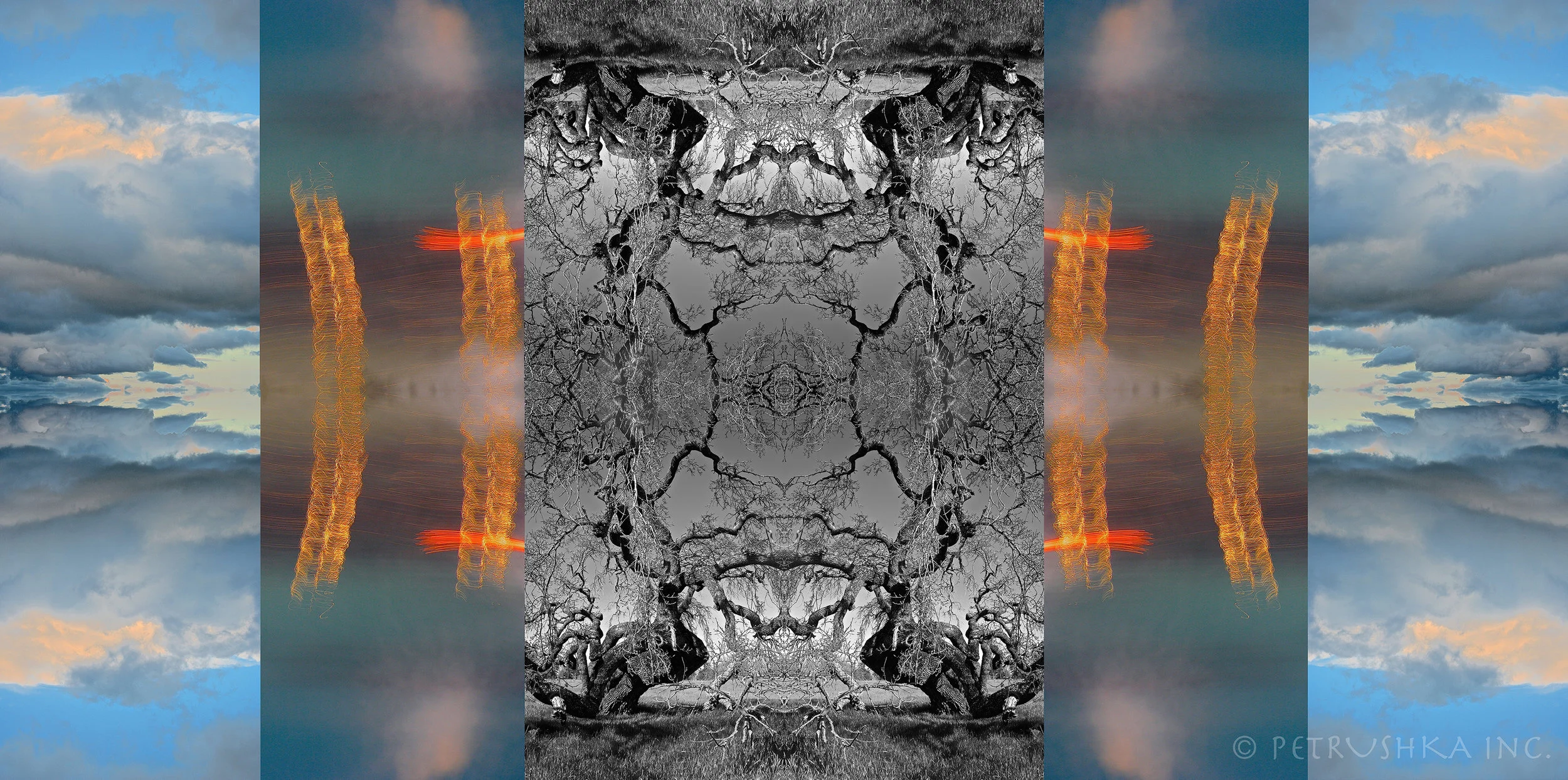 10 A LIVE OAK DIES.jpg