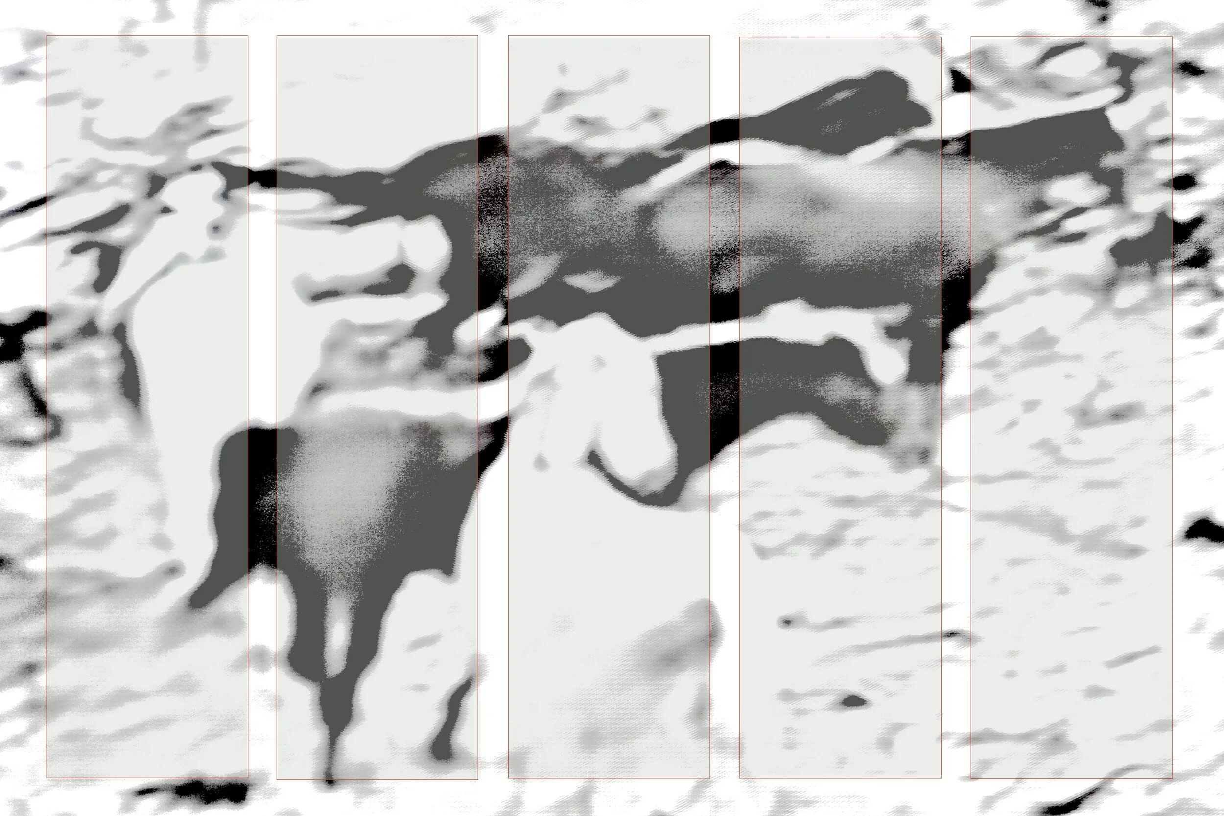 Alliance  2:5:19 copy jpeg.jpg