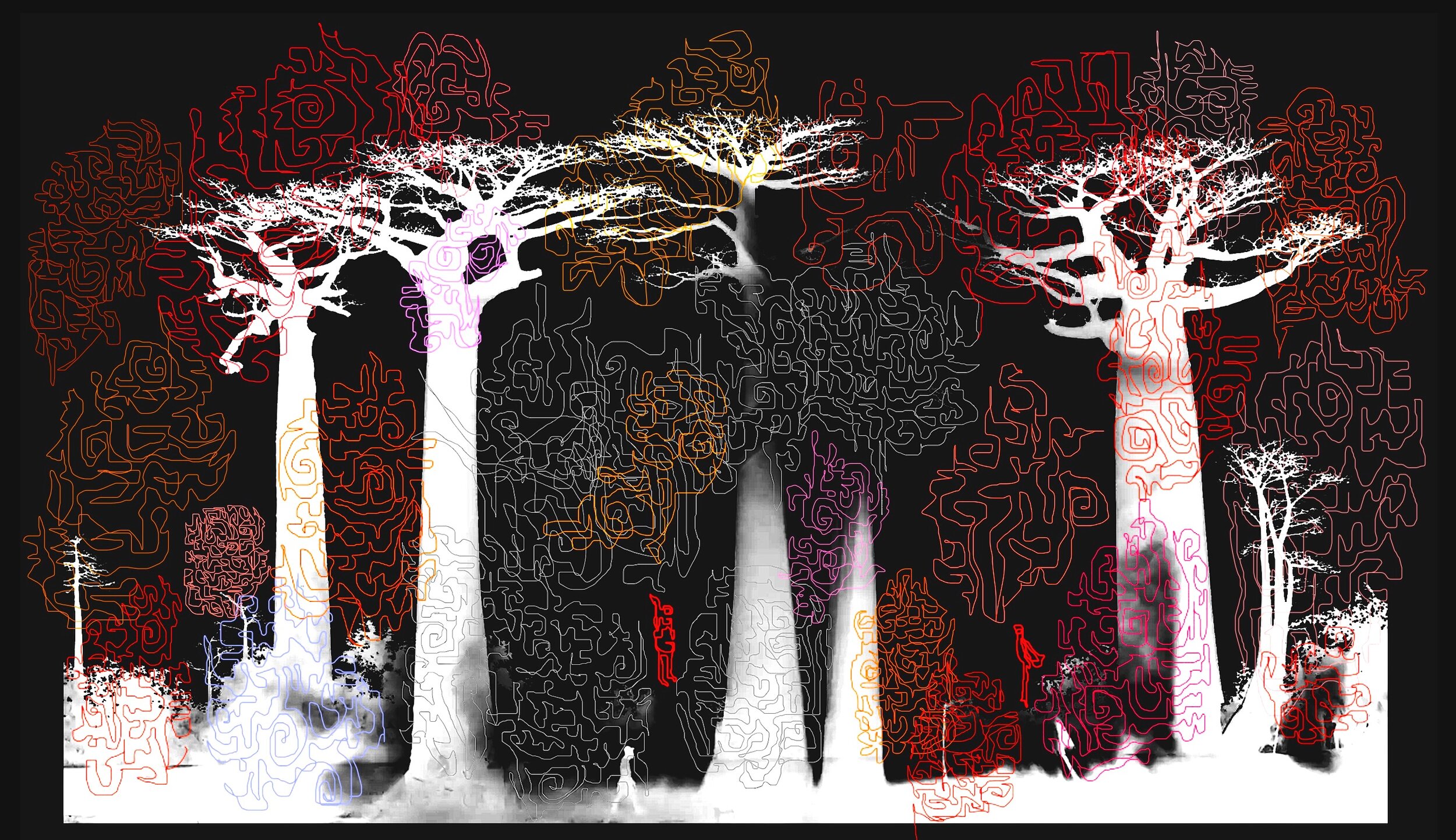 Baobab #2 3:19 jpeg.jpg