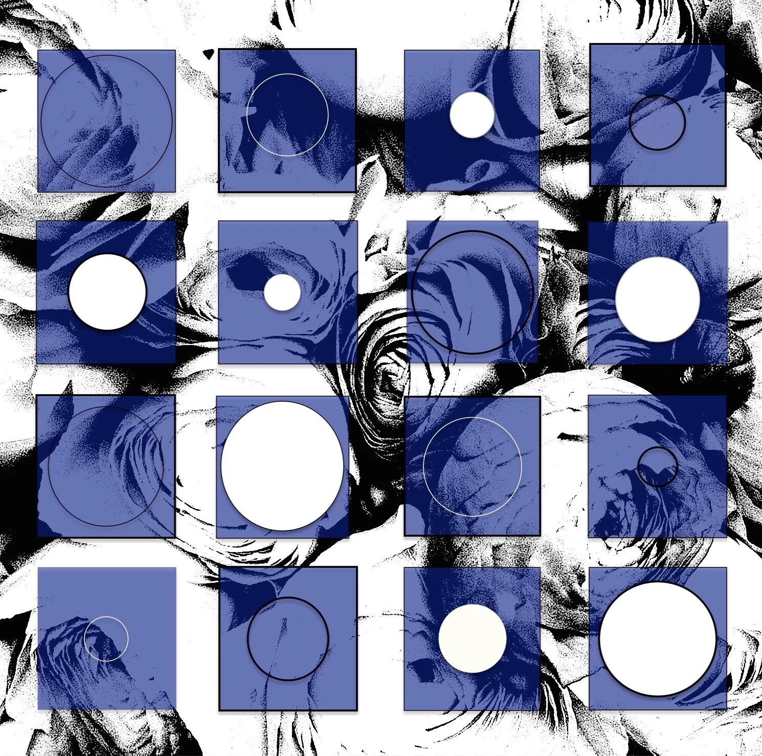 %22Blue Dames #2%22 copy.jpg