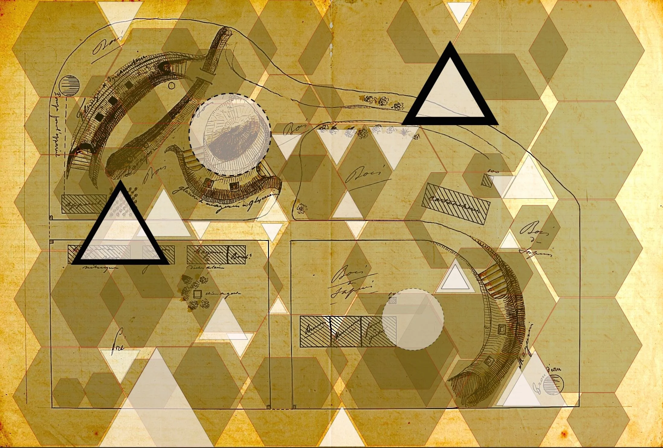 House Of Wonder #1 .jpg