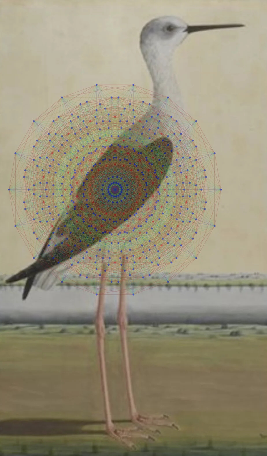 Indian Bird ( colored lace).jpg