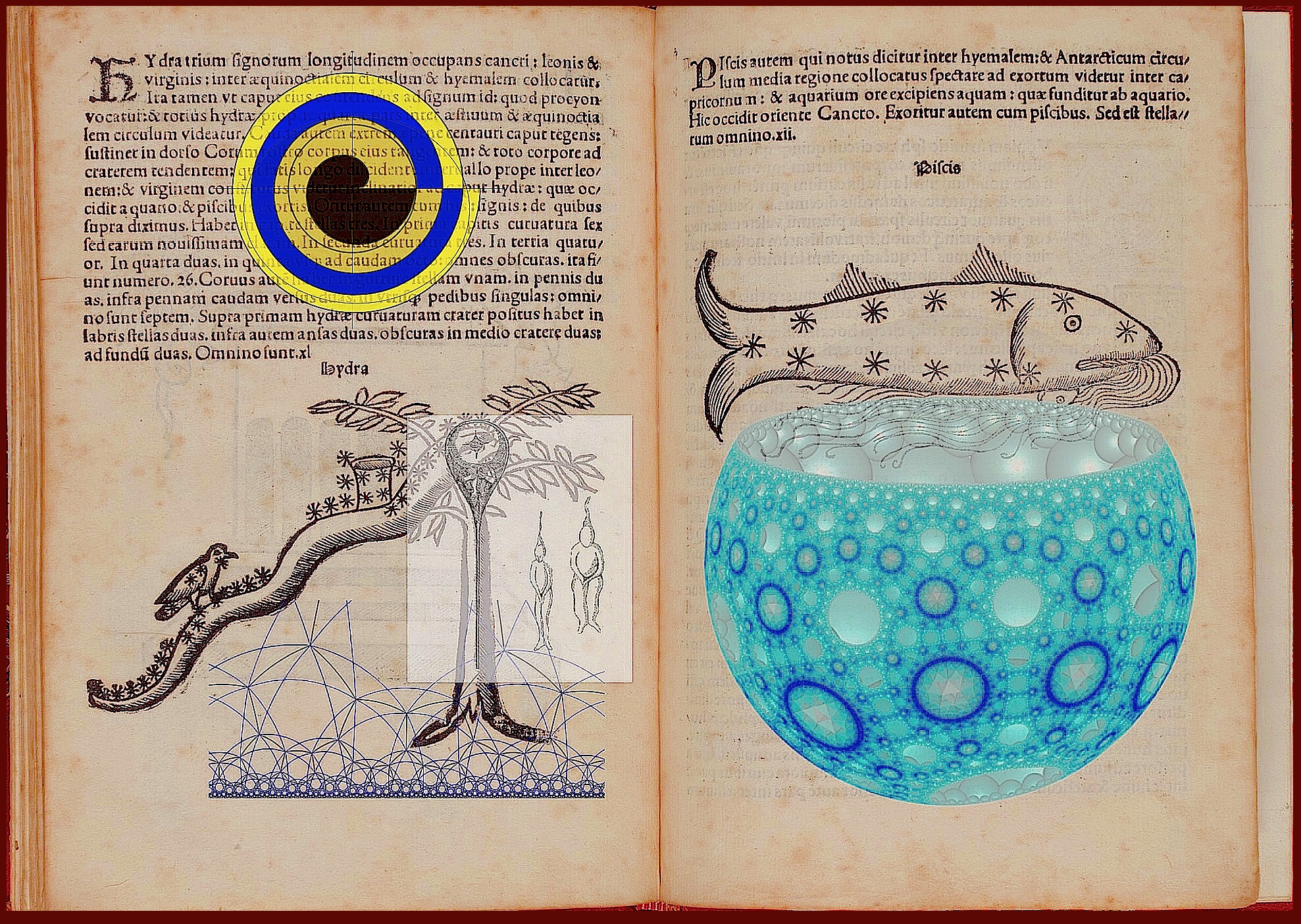 The Bird and The Fish w: graphics 1 copy.jpg