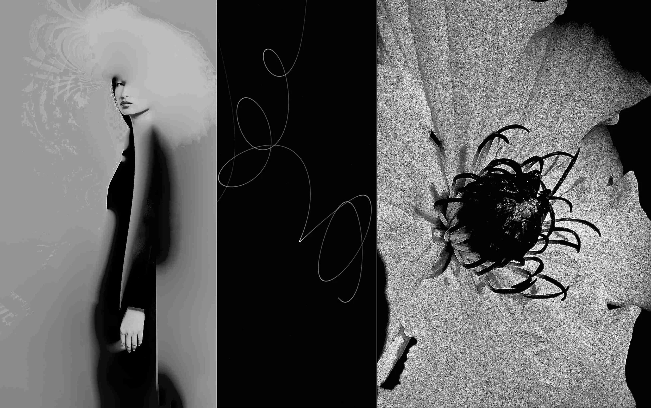 5  Clematis - Travelers Joy  30x47_8.jpg