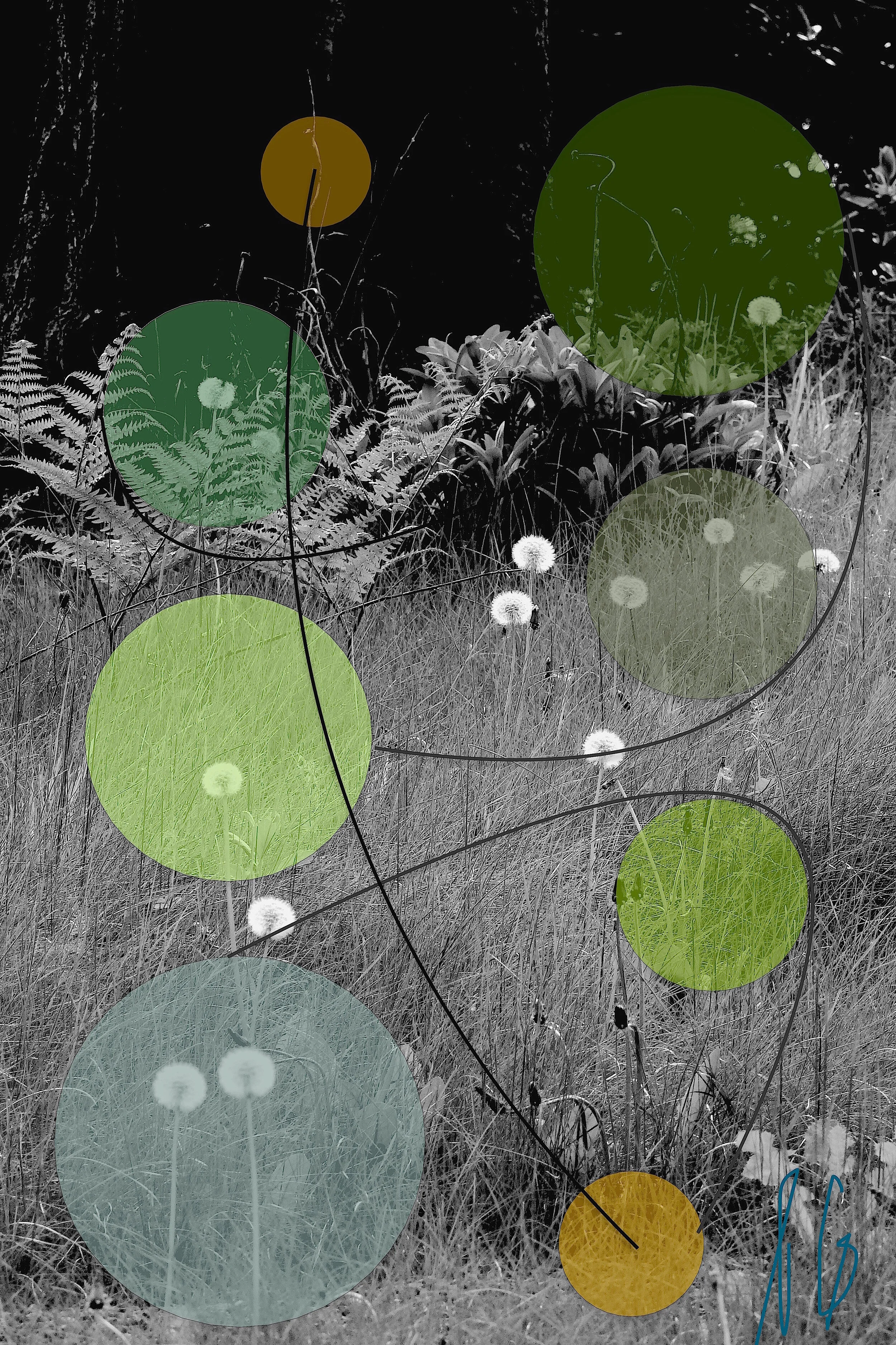 %22Dandy Aster%22 5:25:19.jpeg